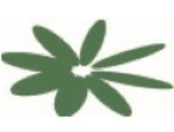 野の花メンタルクリニックのロゴ画像