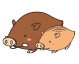 ぼうしや調剤薬局 しらさぎ店のロゴ画像